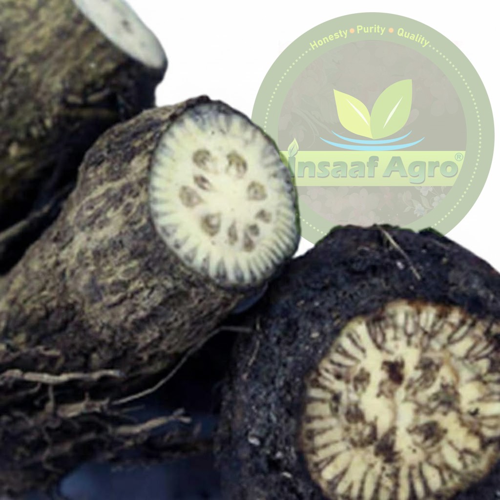 Deshi Chui Jhal - দেশী চুই ঝাল গোঁড়া | খুলনার এঁটে চুই